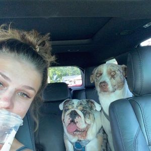 Meet your Posher, Diana